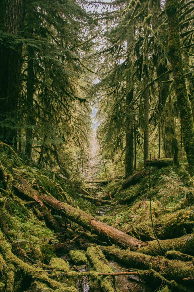 deric-P3DxOe-OJGA-unsplash deric-P3DxOe-OJGA-unsplash