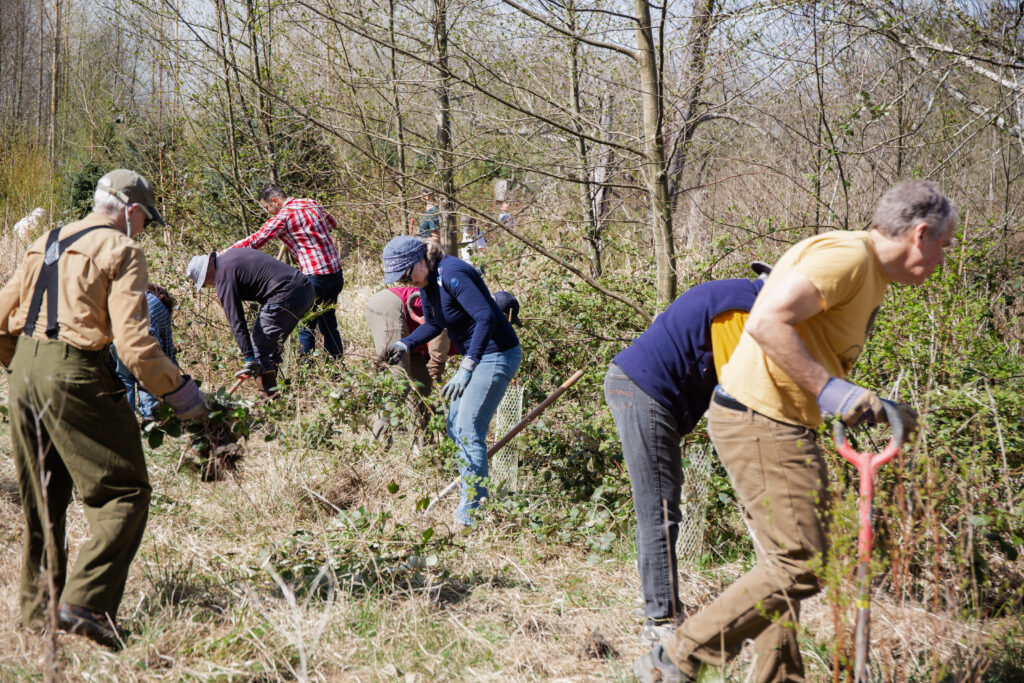 LGT 0425 -065 Shelby Kyllo