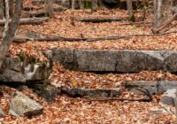 anthony-aird-5AW8UzlupEo-unsplash